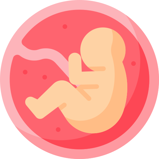 embryo