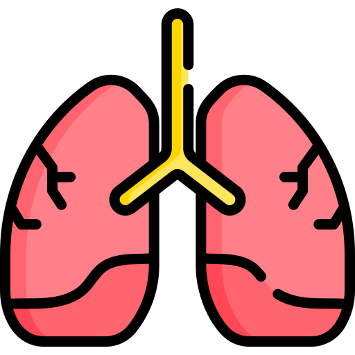 lungs