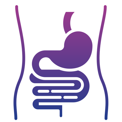 stomach 1